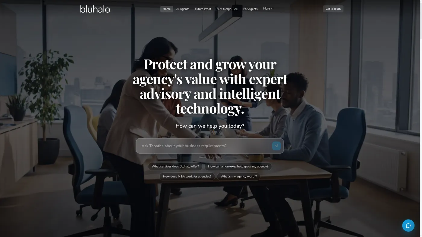 Bluhalo website
